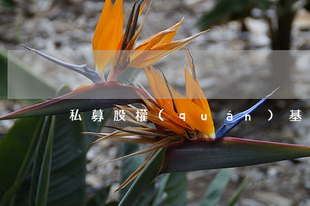 私募股權(quán)基金怎么交稅？